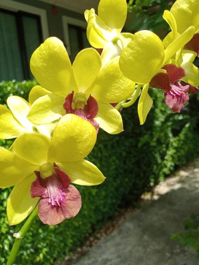 Blue Orchid Beach Krabi - Sha Certified Ao Nam Mao Екстер'єр фото