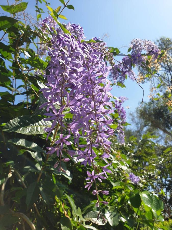 Готель Blue Orchid Beach Krabi - Sha Certified Ao Nam Mao Екстер'єр фото